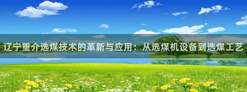 天宏娱乐创始人简介