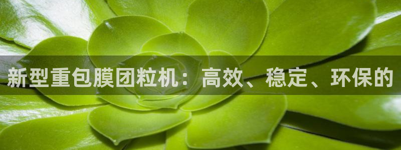 天宏娱乐秦叔的大哥