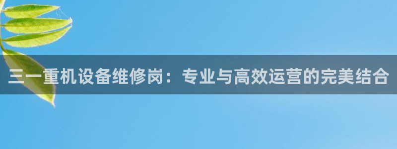 天宏娱乐app平台怎么下载：三一重机设备维修岗：专业与高效运