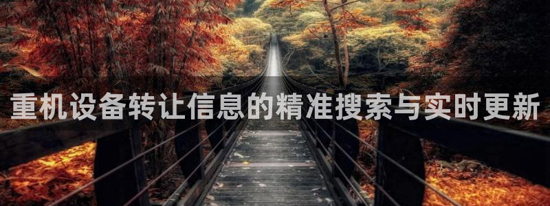 天宏娱乐集团创始人：重机设备转让信息的精准搜索与实时更新