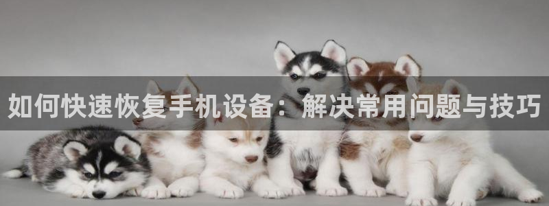 天宏娱乐app：如何快速恢复手机设备：解决常用问题与技巧