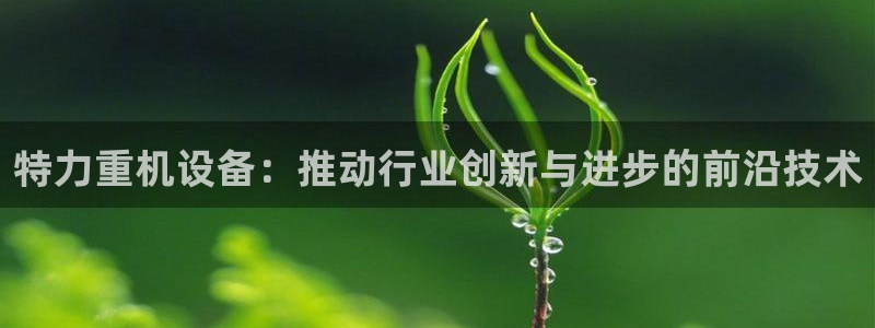 天宏娱乐 直播间怎么进：特力重机设备：推动行业创新与进步的前
