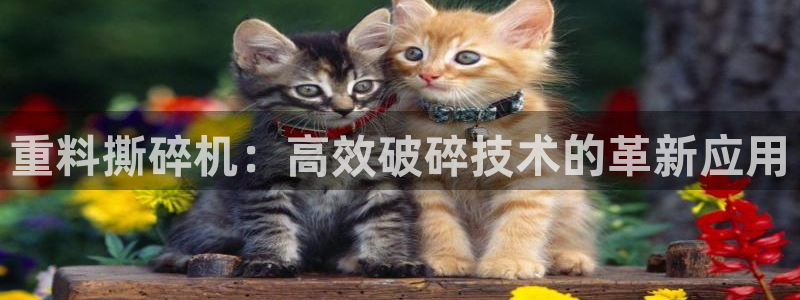 天宏娱乐i OO判官：重料撕碎机：高效破碎技术的革新应用