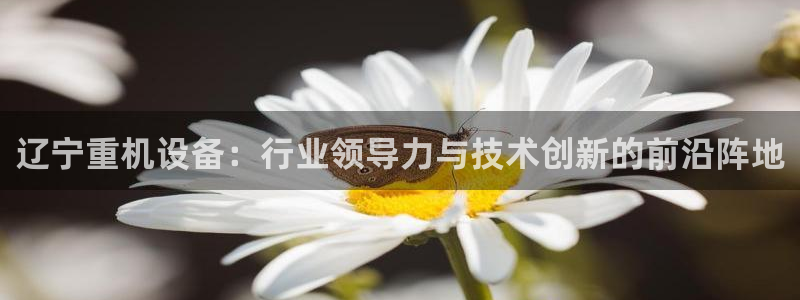 天宏娱乐在线播放：辽宁重机设备：行业领导力与技术创新的前沿阵