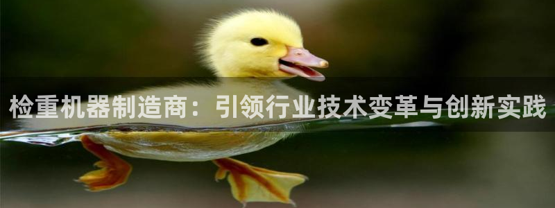 天宏娱乐团：检重机器制造商：引领行业技术变革与创新实践