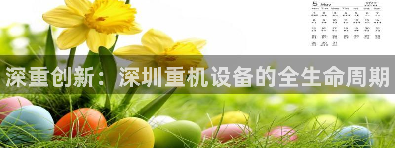 天宏娱乐河源店招聘：深重创新：深圳重机设备的全生命周期