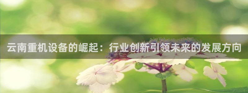 天宏娱乐浗v33300：云南重机设备的崛起：行业创新引领未来