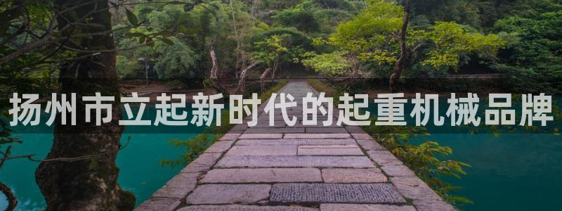 天宏娱乐有限公司：扬州市立起新时代的起重机械品牌