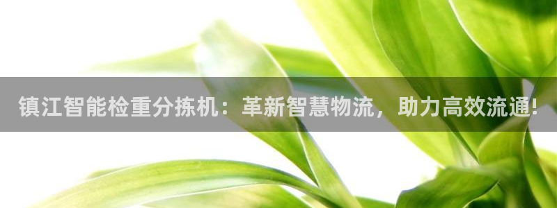 天宏娱乐主管q844389：镇江智能检重分拣机：革新智慧物流