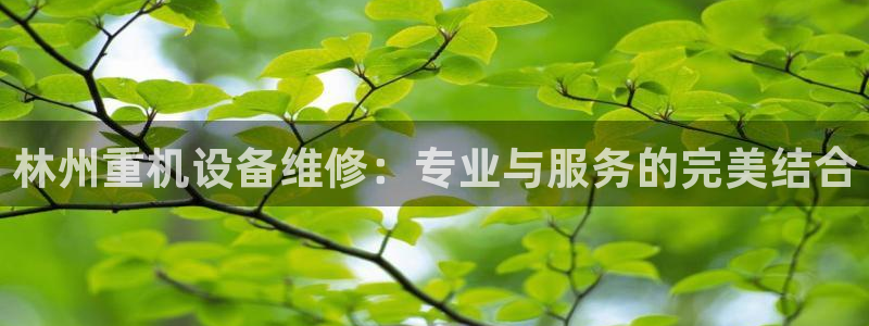 天宏娱乐c 判官：林州重机设备维修：专业与服务的完美结合