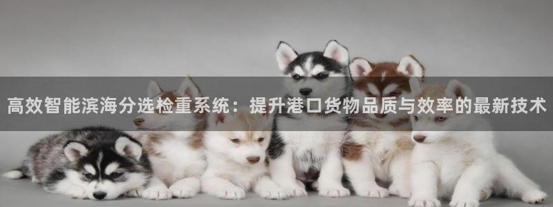 天宏娱乐小刘：高效智能滨海分选检重系统：提升港口货物品质与效