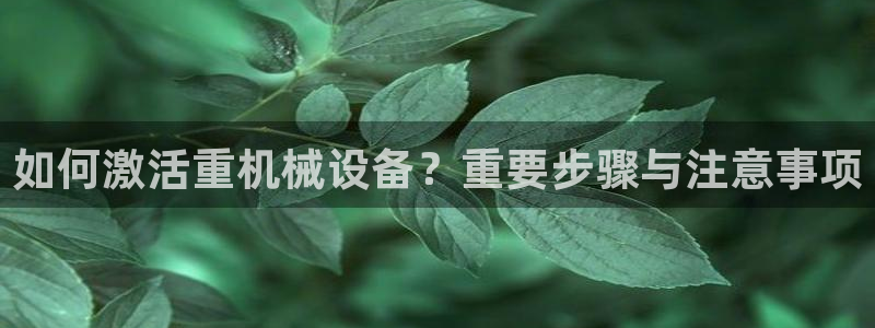 天宏娱乐官网平台注册：如何激活重机械设备？重要步骤与注意事项