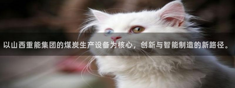 天宏娱乐i OO判官：以山西重能集团的煤炭生产设备为核心，创