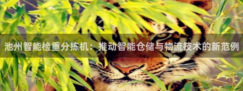 天宏娱乐·v主管管32937