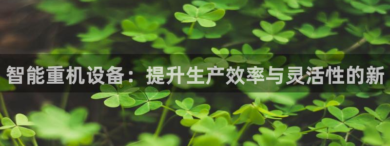 天宏娱乐陈叔