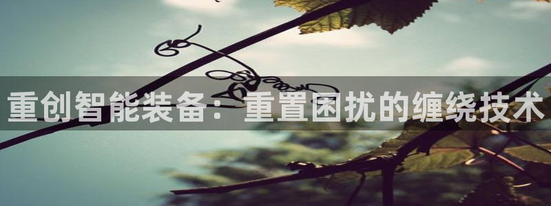天宏娱乐天跃传媒招聘