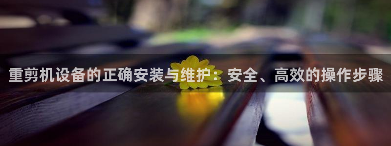 天宏娱乐秦叔的大哥