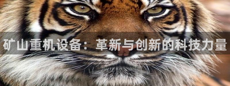 天宏娱乐男神季叔