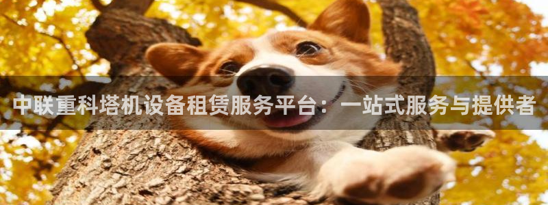 天宏娱乐待遇