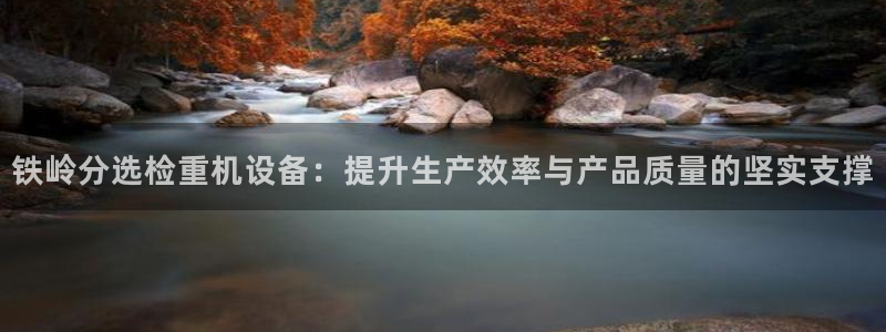 天宏娱乐团队