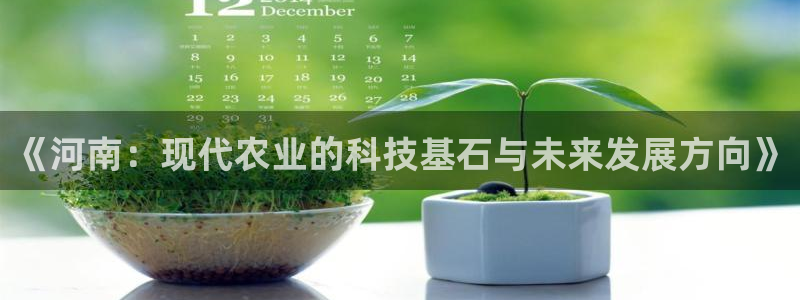 天宏娱乐吴叔抖音