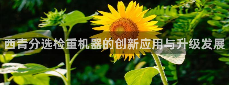 天宏娱乐董事长简历