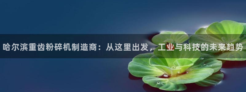 天宏娱乐徐叔