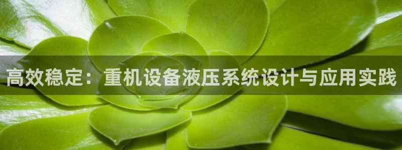 天宏娱乐二台