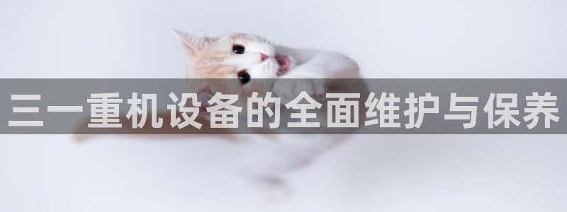 天宏娱乐团购