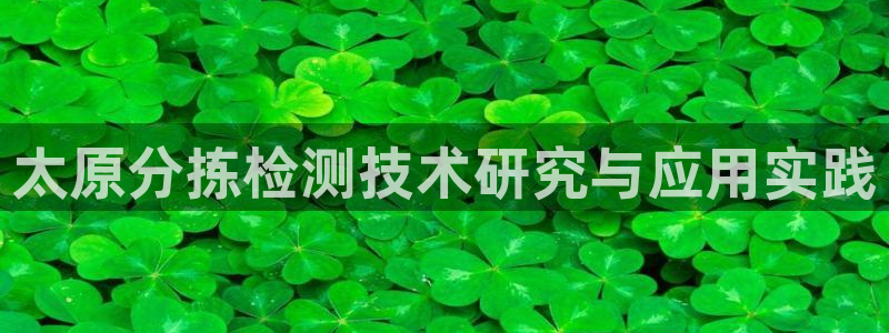 天宏娱乐是什么公司