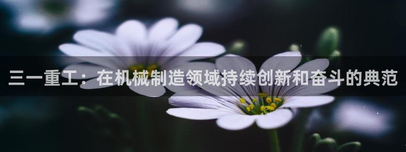 天宏娱乐正在直播：三一重工：在机械制造领域持续创新和奋斗的典
