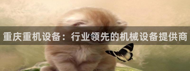 天宏娱乐浗v33300