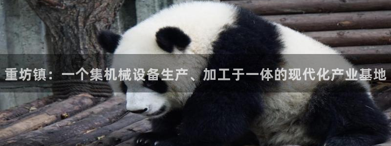 天宏娱乐老板朱俊伟：重坊镇：一个集机械设备生产、加工于一体的