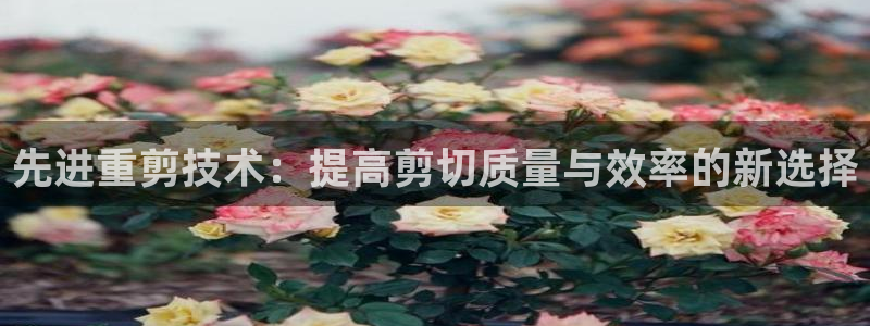 天宏娱乐团购价格多少：先进重剪技术：提高剪切质量与效率的新选