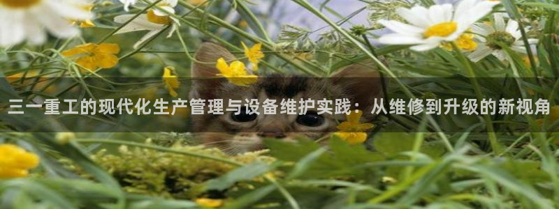 天宏 娱乐属于什么平台：三一重工的现代化生产管理与设备维护实