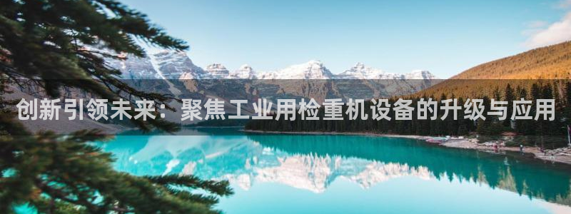 成都天宏娱乐会所地址：创新引领未来：聚焦工业用检重机设备的升