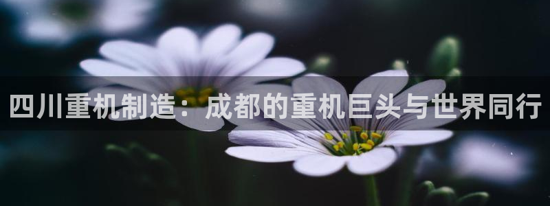 天宏娱乐国际会所