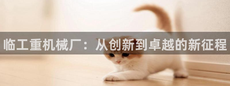 天宏娱乐君叔：临工重机械厂：从创新到卓越的新征程