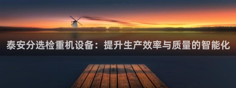 宏天娱乐会所：泰安分选检重机设备：提升生产效率与质量的智能化