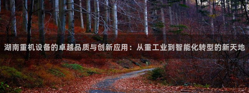 天宏娱乐老男孩成员