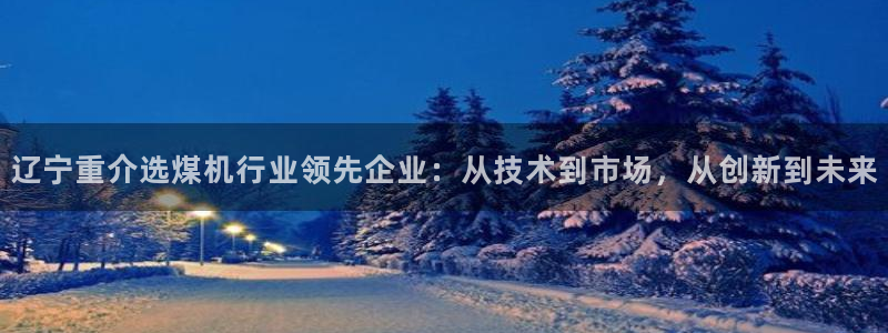 天宏娱乐有限公司：辽宁重介选煤机行业领先企业：从技术到市场，