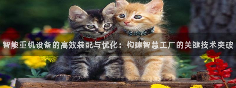 石河子天宏娱乐