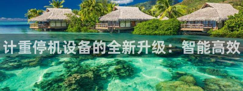 天宏娱乐金大叔：计重停机设备的全新升级：智能高效
