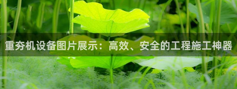 天宏娱乐团购价格多少
