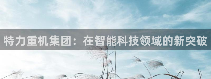 天宏娱乐吴皇：特力重机集团：在智能科技领域的新突破