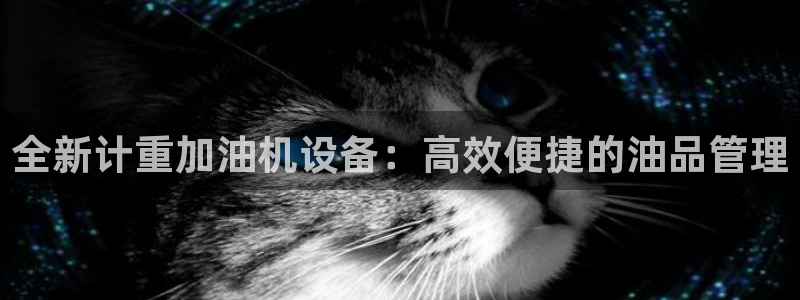天宏娱乐河源店招聘信息：全新计重加油机设备：高效便捷的油品管