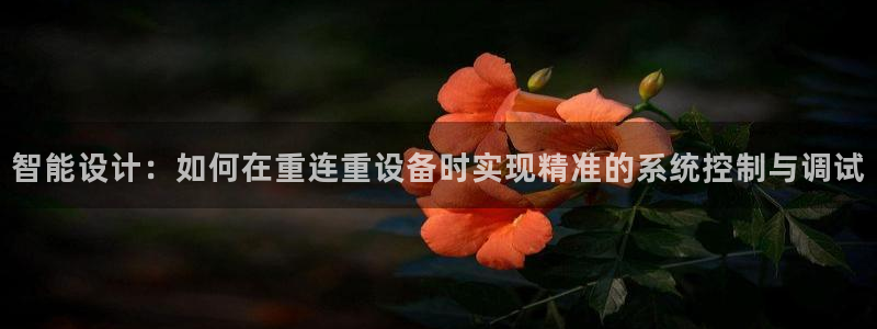 天宏娱乐河源店招聘信息：智能设计：如何在重连重设备时实现精准