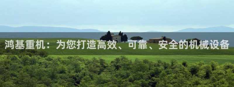 天宏娱乐宋善良：鸿基重机：为您打造高效、可靠、安全的机械设备
