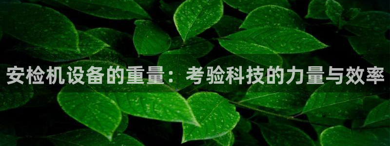 天宏娱乐2