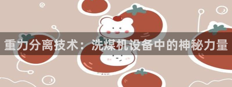天宏娱乐天跃传媒：重力分离技术：洗煤机设备中的神秘力量